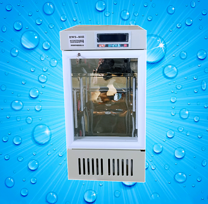 智能恒溫恒濕培養箱HWS-80H廠家推薦 品質保證